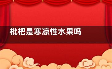 枇杷是寒凉性水果吗 枇杷是不是寒凉性水果(枇杷水是寒性吗)
